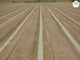 Cycoplast Austromodul im Einsatz