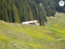 Cycoplast Dachpfannen im Einsatz