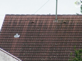 Kupferreiter im Einsatz