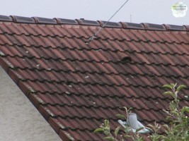 Kupferreiter im Einsatz