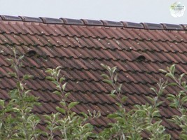 Kupferreiter im Einsatz